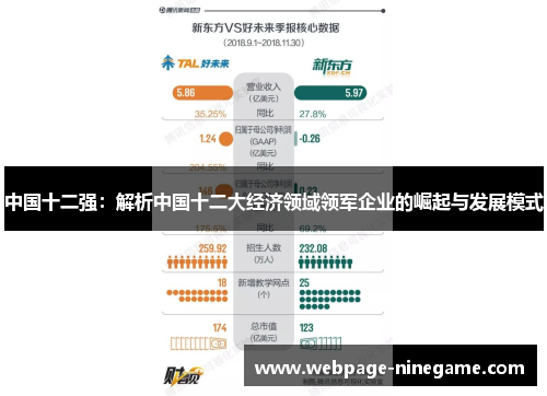 中国十二强：解析中国十二大经济领域领军企业的崛起与发展模式